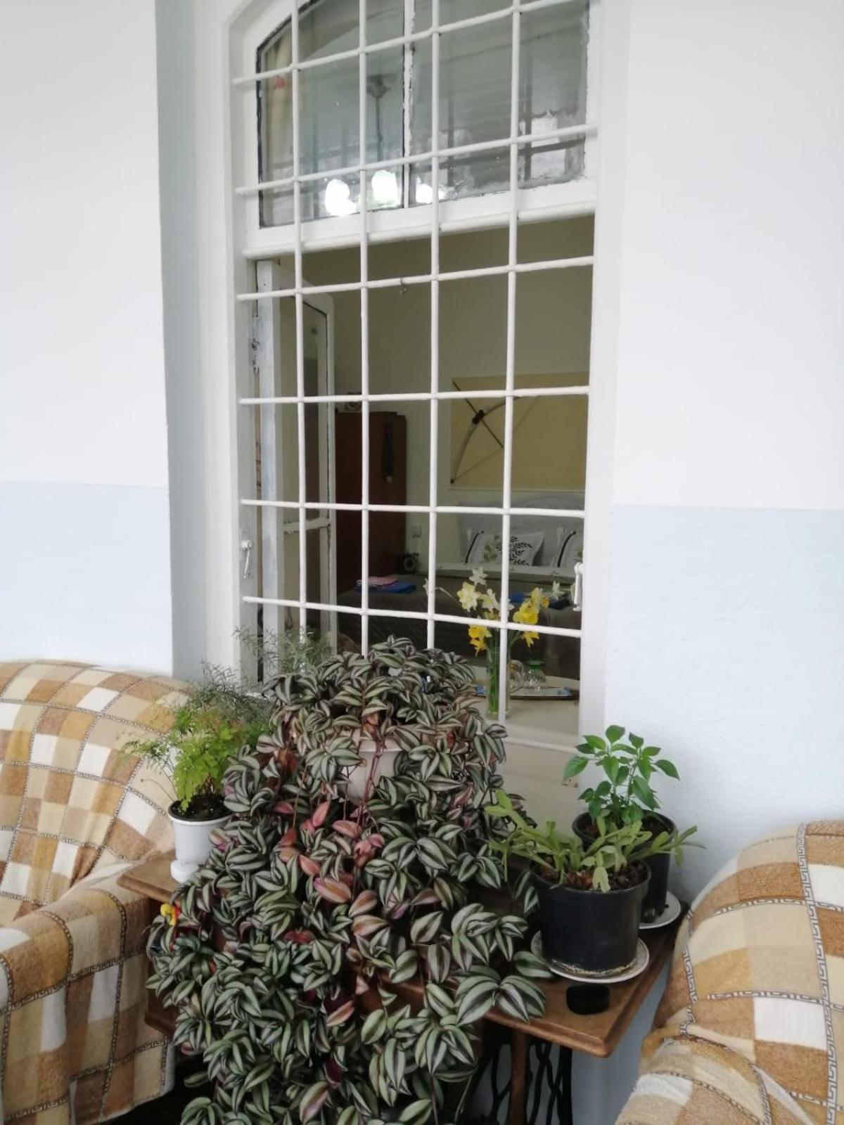 מלון Şǝki Ali Ancient House 555 מראה חיצוני תמונה