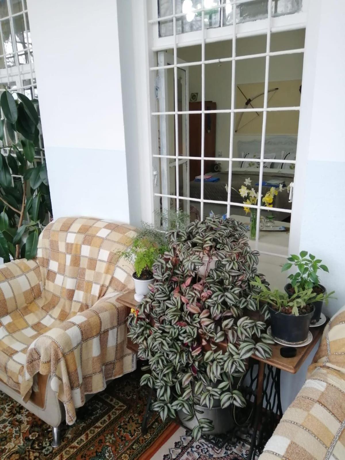 מלון Şǝki Ali Ancient House 555 מראה חיצוני תמונה