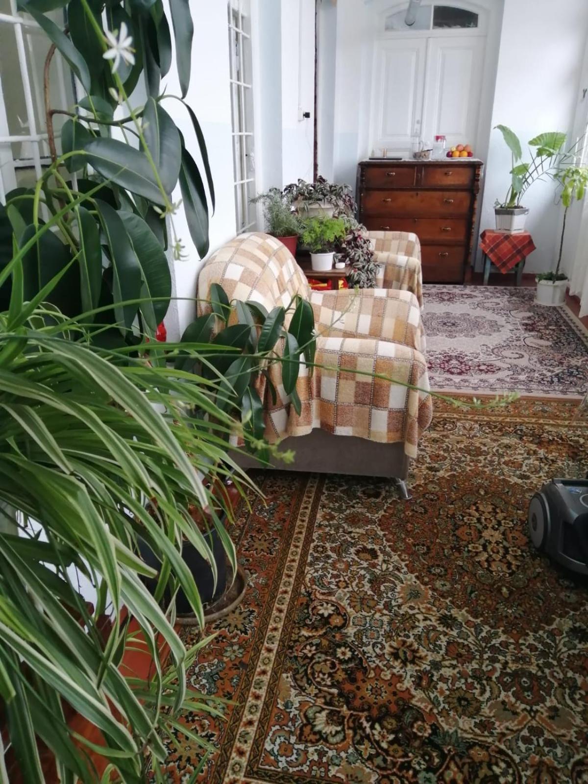 מלון Şǝki Ali Ancient House 555 מראה חיצוני תמונה